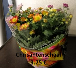 Chrysanten schaal 3,75