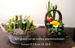bollensch1